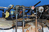 3053steris05_32.jpg